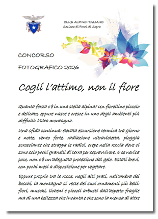 Tema del concorso fotografico 2026